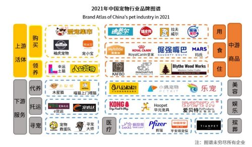 中国宠物经济时代到来,朝云集团 06601 引领宠物产业生态持续创新发展